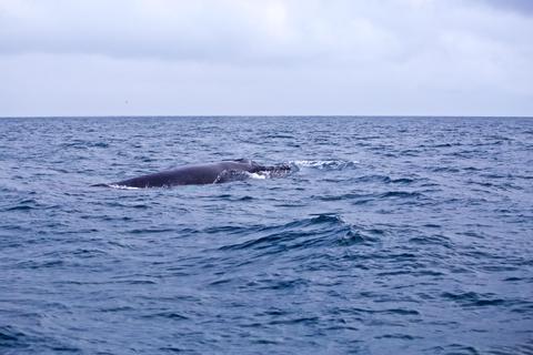 Puerto Lopez Ecuador